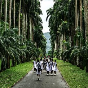 An Easy Evening Stroll Around Kandy Lake